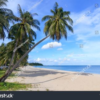 Hidden Gems of Hainan (Sanya-Haikou) Day Tour C