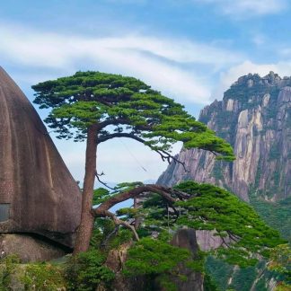 Hidden Gems of Huangshan Day Tour C