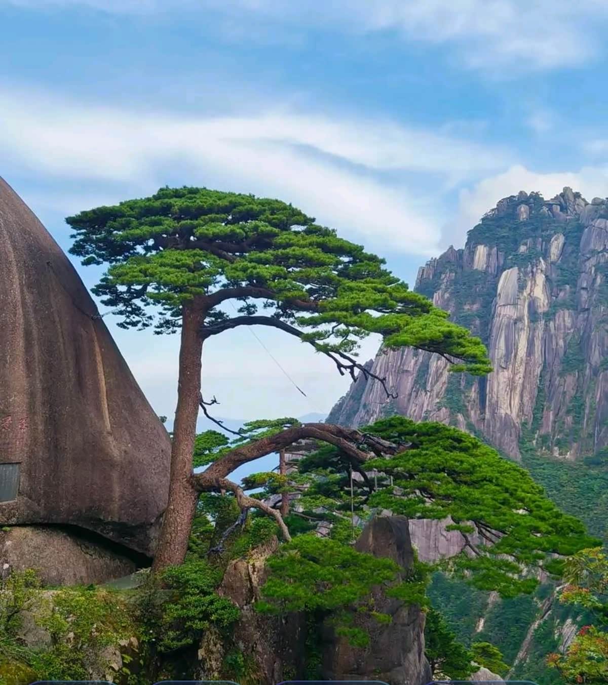 Hidden Gems of Huangshan Day Tour C