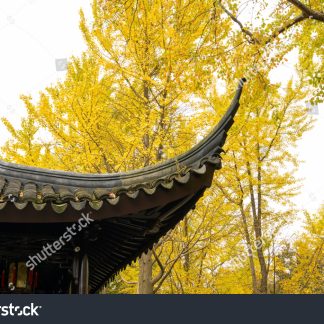 Hidden Gems of Suzhou Day Tour C