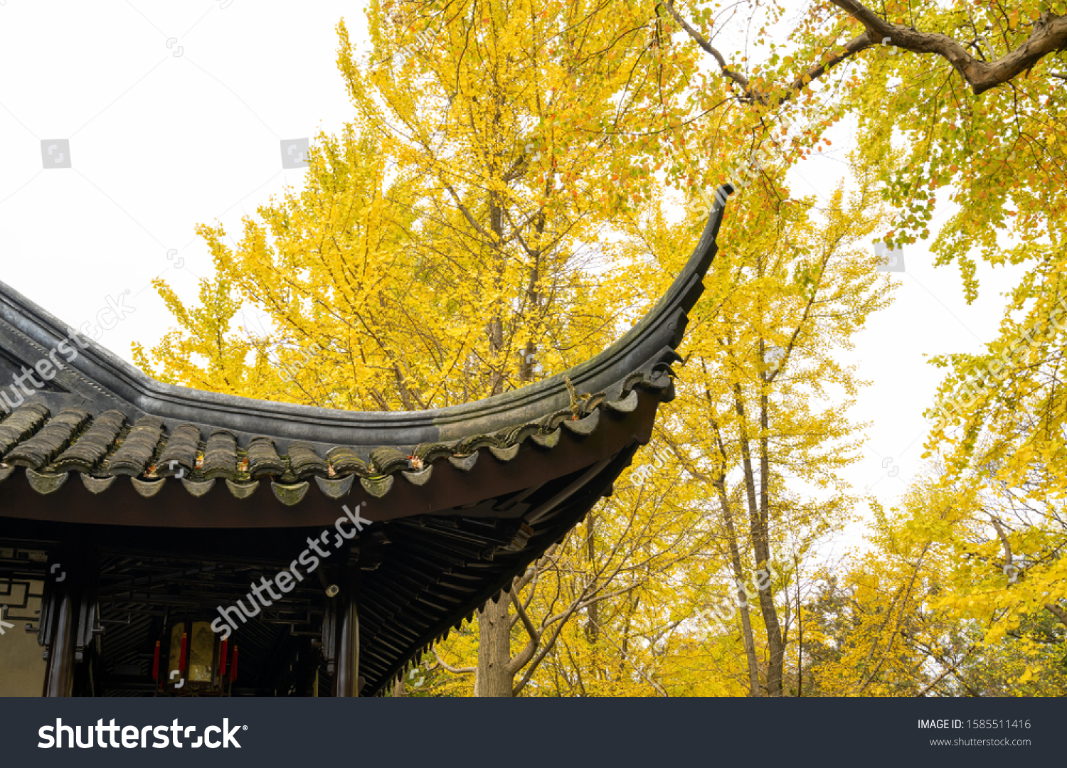 Hidden Gems of Suzhou Day Tour C