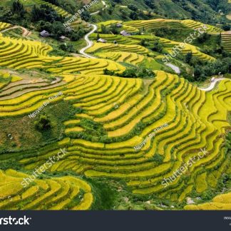 Icons & Insights Guizhou Day Tour B