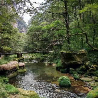 Icons & Insights Zhangjiajie Day Tour B