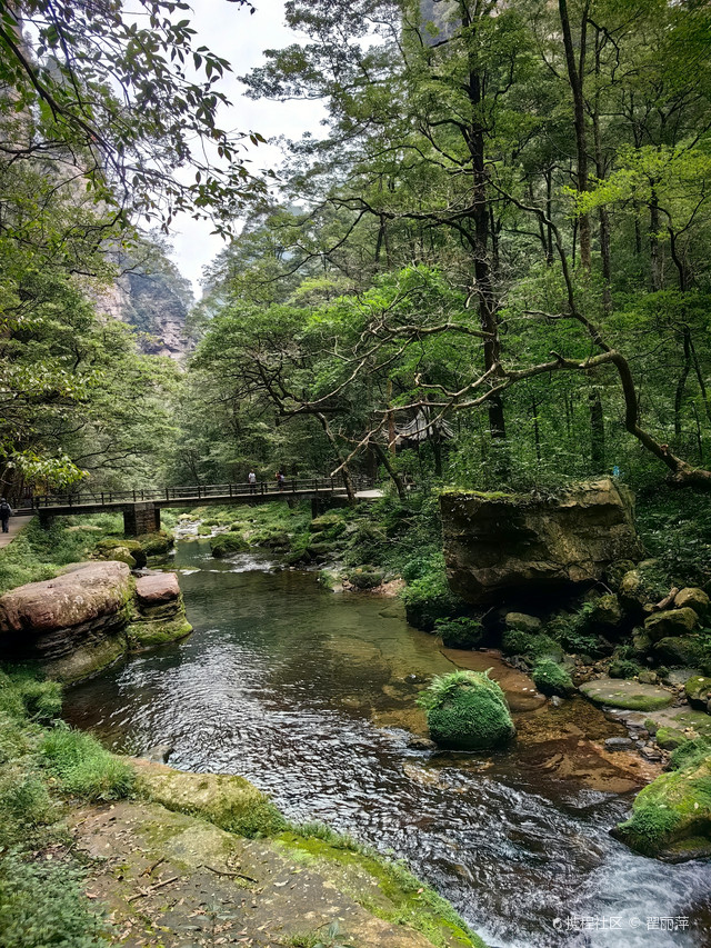 Icons & Insights Zhangjiajie Day Tour B