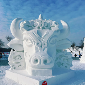 Best of Harbin & Northeast Day Tour
