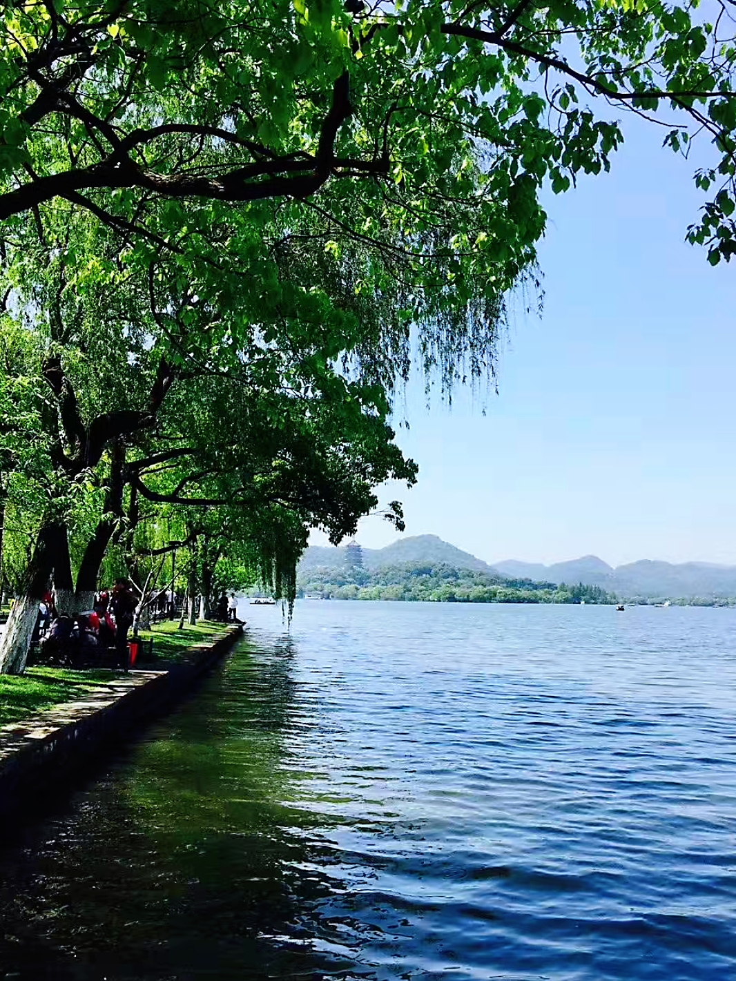 Best of Hangzhou Day Tour