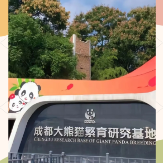 Best of Chengdu Day Tour
