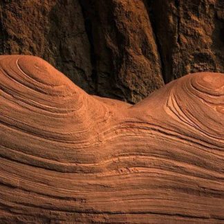 Yangtze Delta Depth & Beyond: Garden & Water Towns 11-Day China Tour III