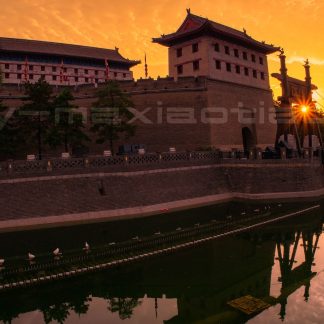 Luoyang & Henan & Beyond: Imperial Heritage 11-Day China Tour IV