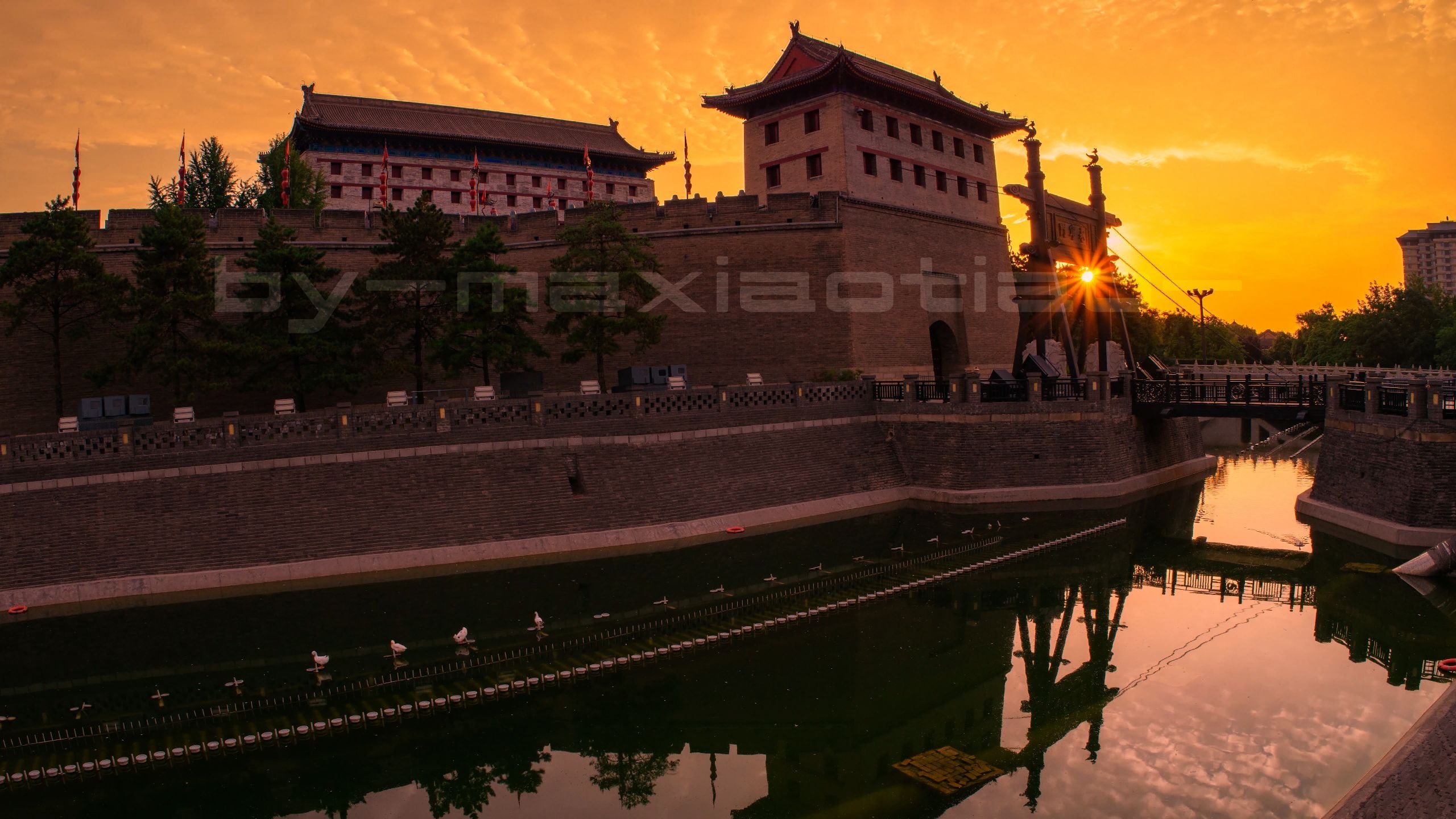Luoyang & Henan & Beyond: Imperial Heritage 11-Day China Tour IV