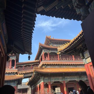 Luoyang & Henan & Beyond: Imperial Heritage 11-Day China Tour III