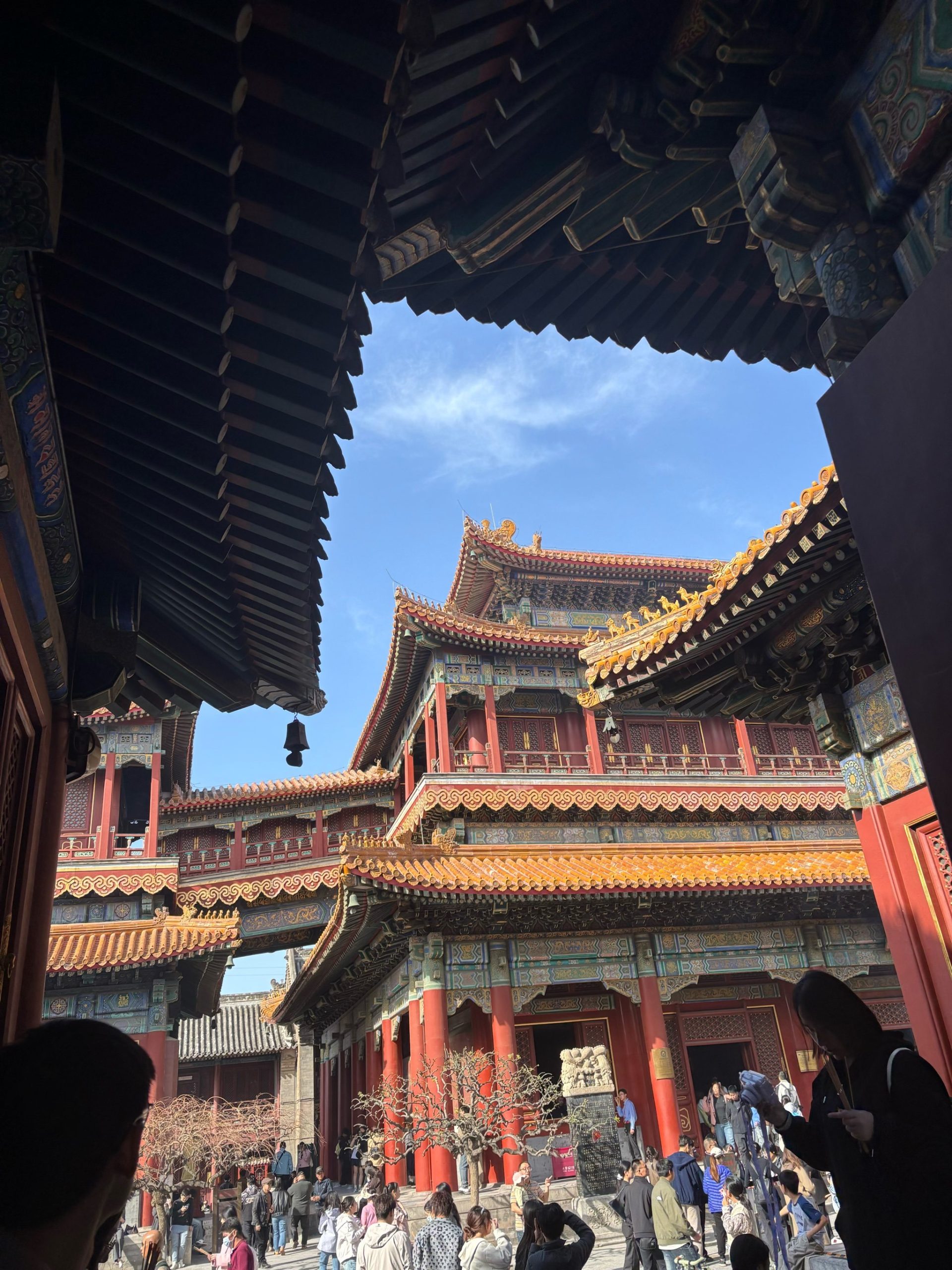 Luoyang & Henan & Beyond: Imperial Heritage 11-Day China Tour III