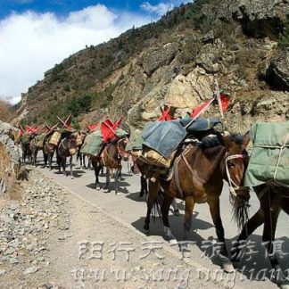 Beijing & Beyond: Two Capitals & a Wall 11-Day China Tour