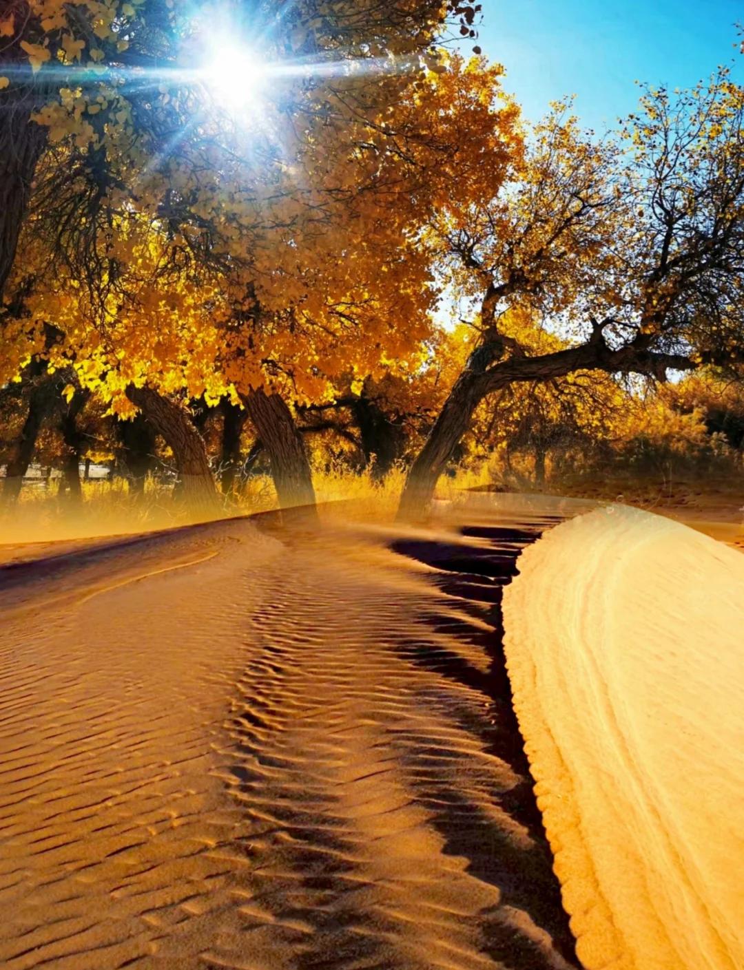 Silk Road & Beyond: Desert & Grassland 11-Day China Tour