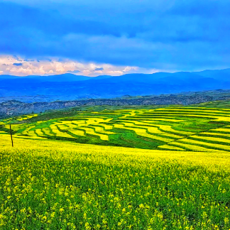 Qinghai & Gansu Loop & Beyond: Western Wilds 11-Day China Tour