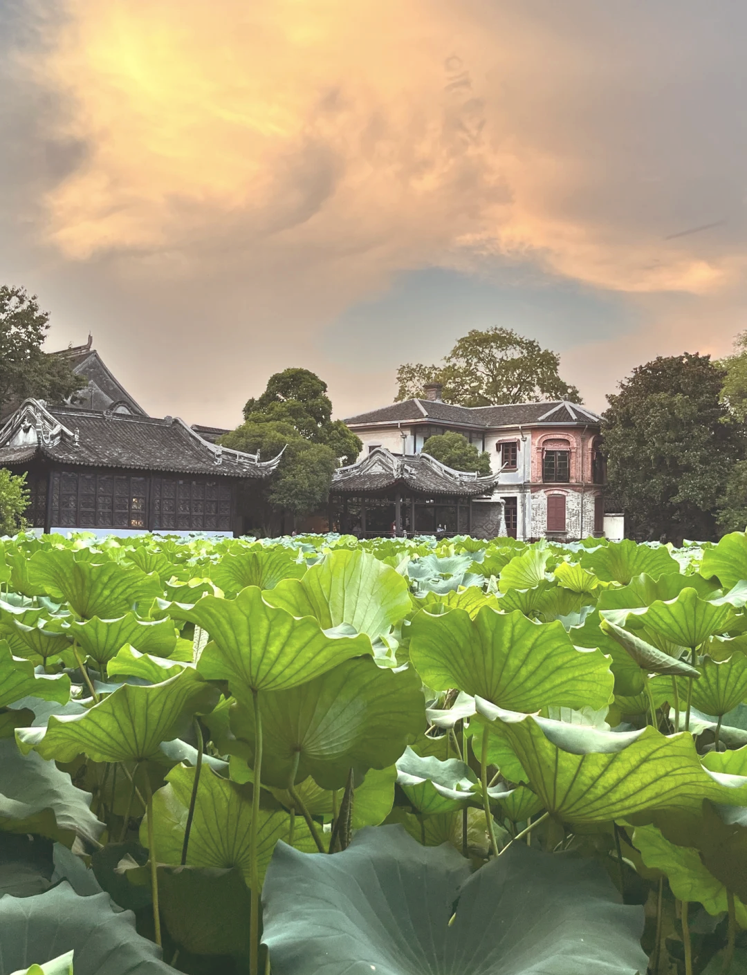 Guilin & Beyond: Minority Villages Trail 11-Day China Tour