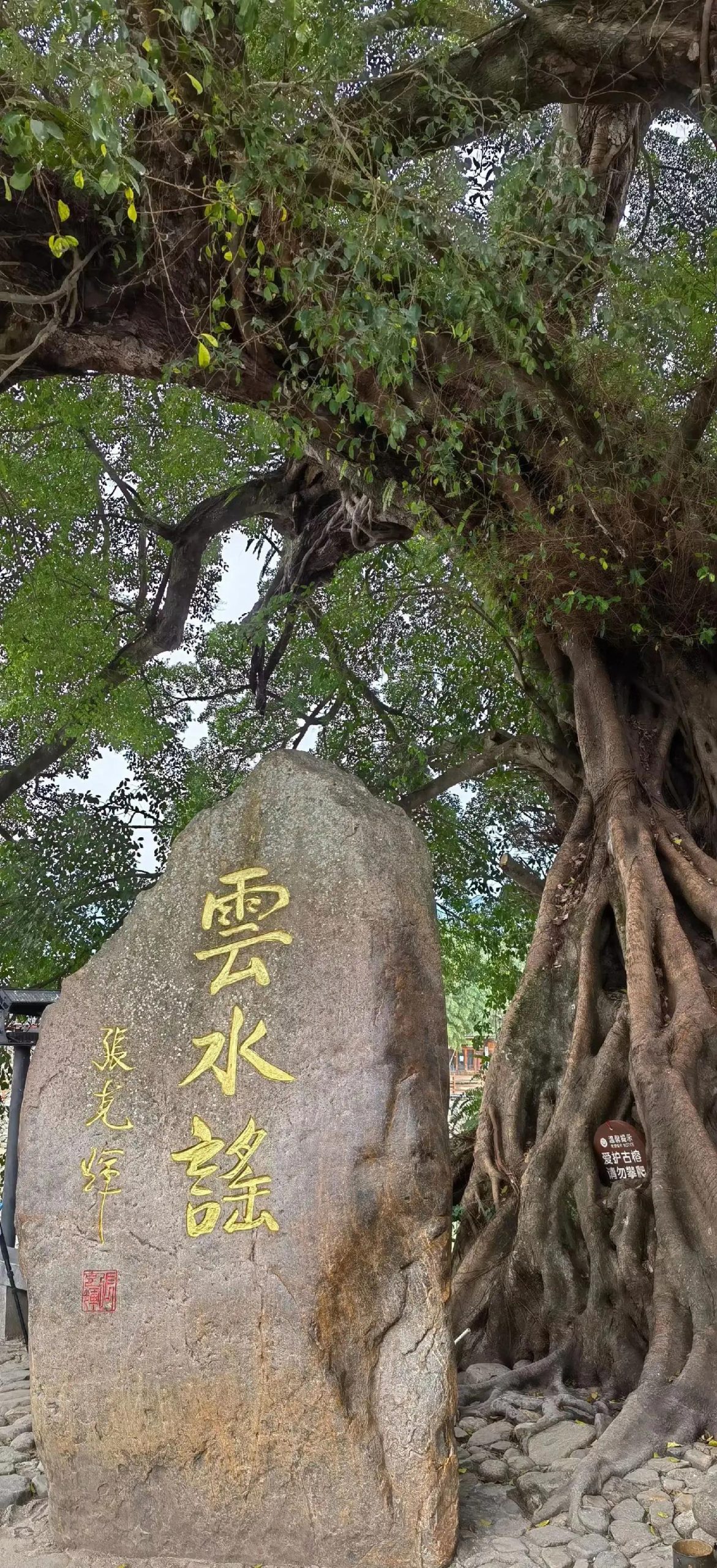 Xiamen & Fujian Coast & Beyond: Coastal Charms 11-Day China Tour