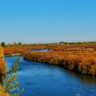 Chengdu & Beyond: Panda & Spicy Sichuan 11-Day China Tour