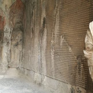 Luoyang & Henan & Beyond: Imperial Heritage 11-Day China Tour II