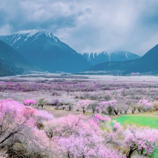 Tibet & Beyond: Tibetan Plateau 15-Day China Tour II