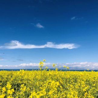 Qinghai & Gansu Loop & Beyond: Tibetan Plateau 13-Day China Tour