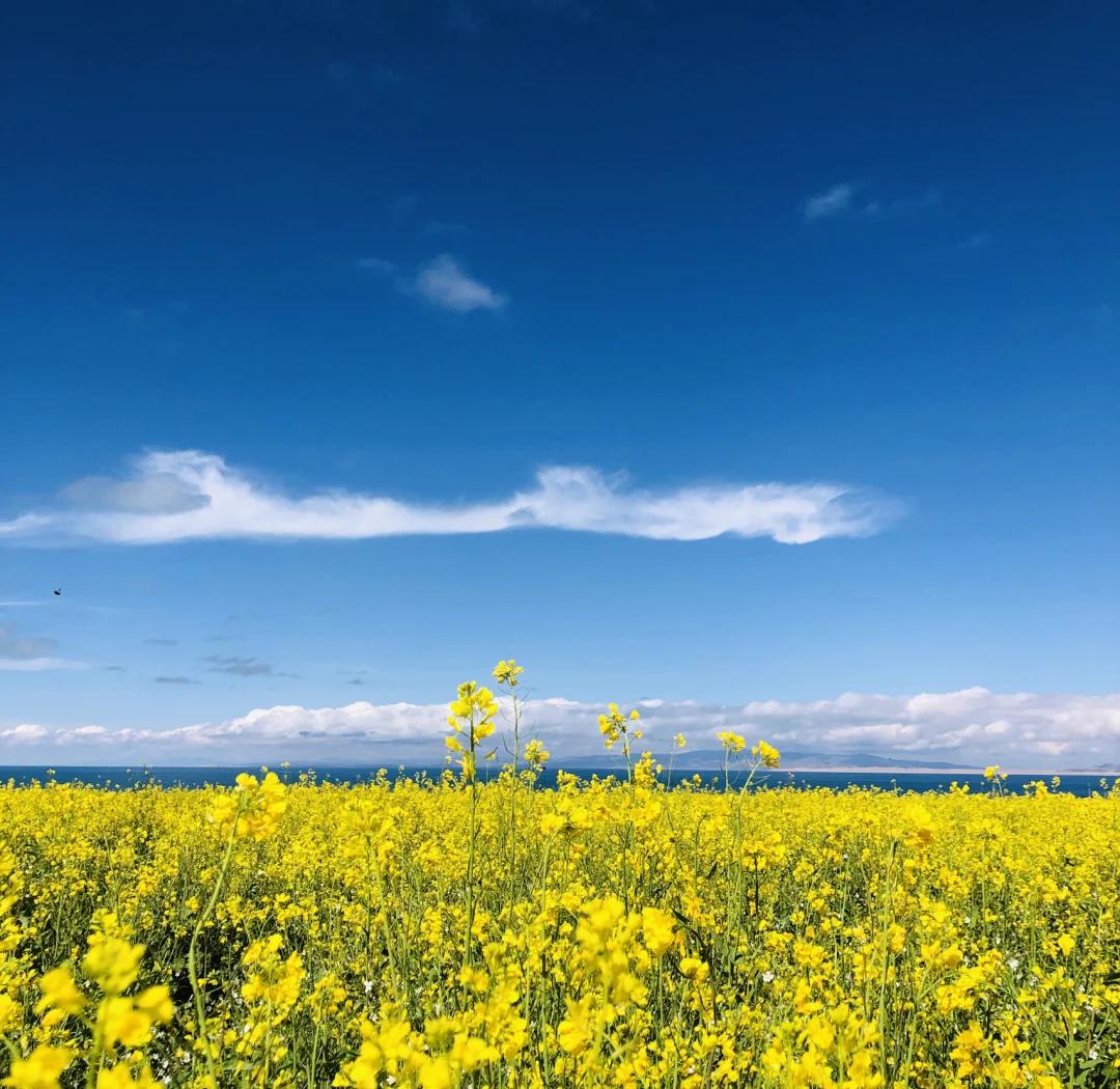Qinghai & Gansu Loop & Beyond: Tibetan Plateau 13-Day China Tour