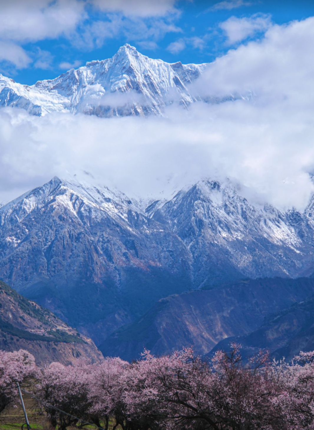 Tibet & Beyond: Tibetan Plateau 13-Day China Tour