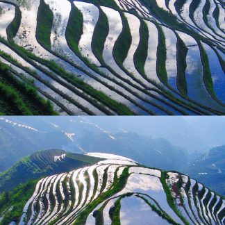 Guilin & Beyond: Panda & Spicy Sichuan 13-Day China Tour II