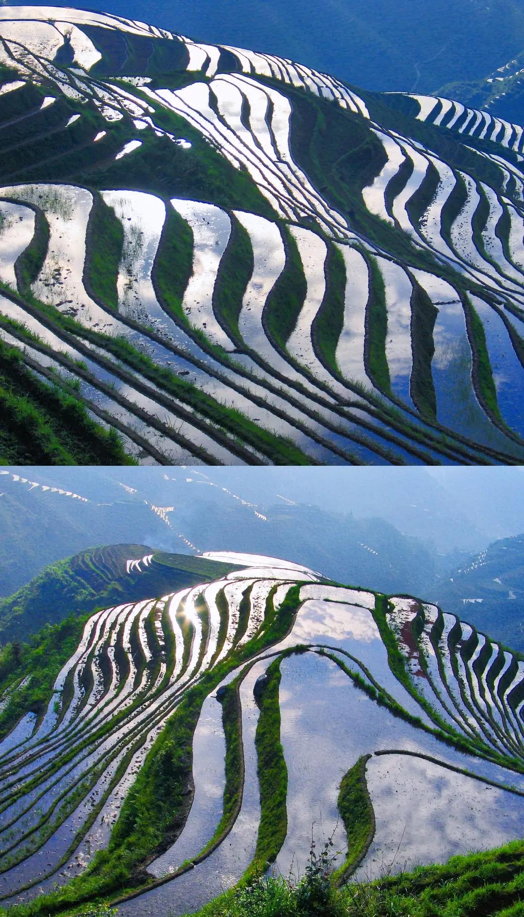 Guilin & Beyond: Panda & Spicy Sichuan 13-Day China Tour II