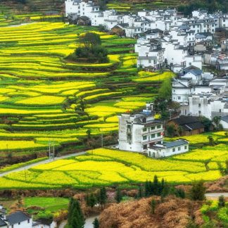Luoyang & Henan & Beyond: Kung Fu & Ancient Capitals 15-Day China Tour II
