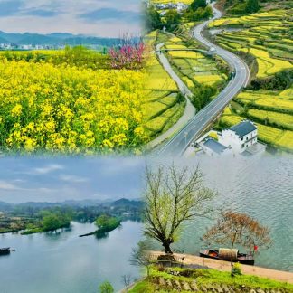 Luoyang & Henan & Beyond: Imperial Heritage 15-Day China Tour IV