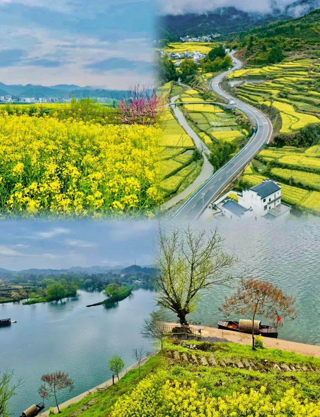 Luoyang & Henan & Beyond: Imperial Heritage 15-Day China Tour IV