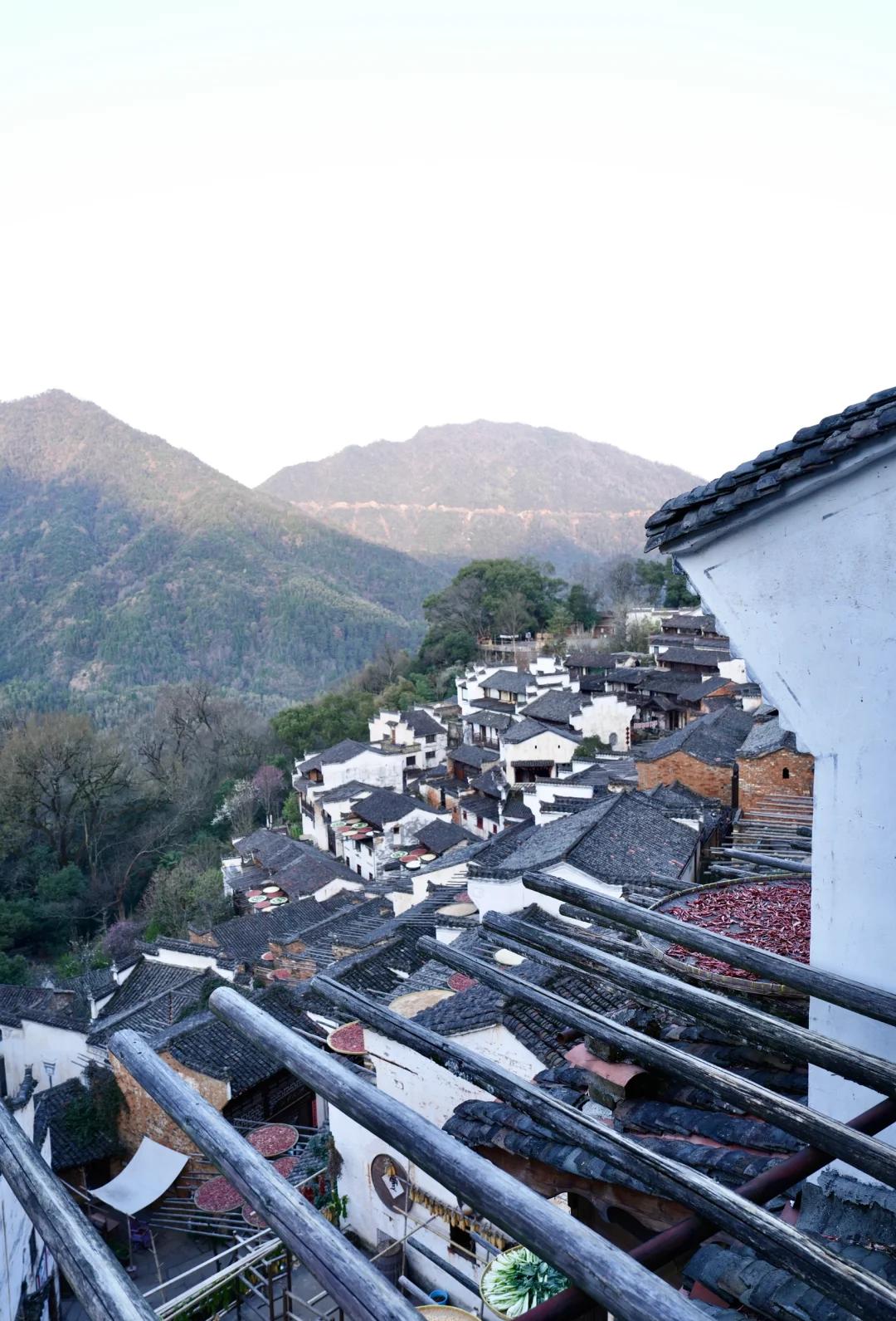 Luoyang & Henan & Beyond: Imperial Heritage 15-Day China Tour III