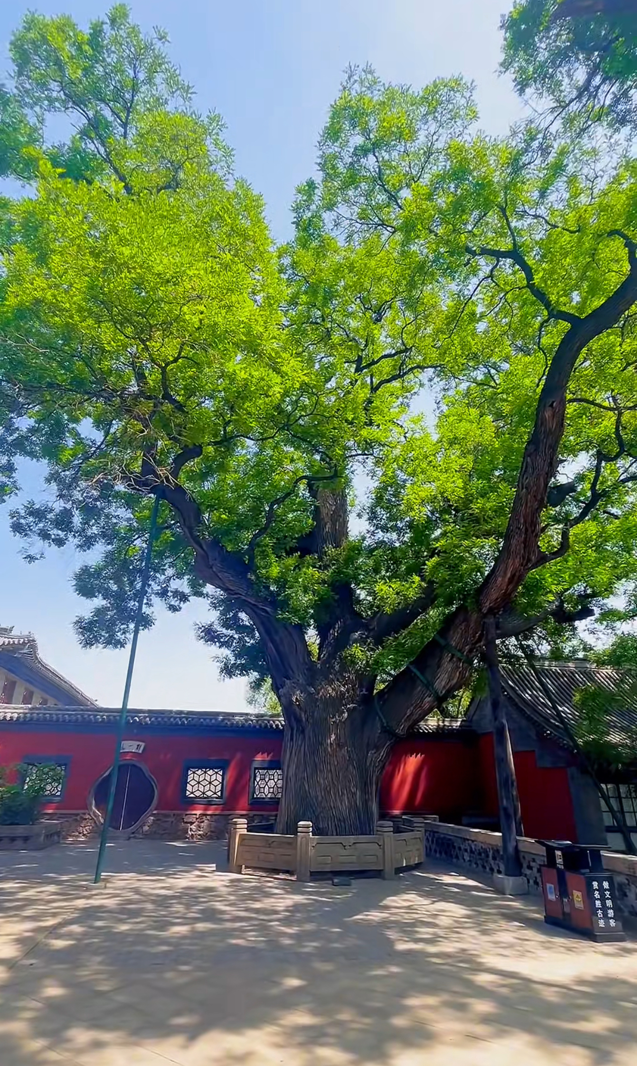 Pingyao & Shanxi & Beyond: Kung Fu & Ancient Capitals 13-Day China Tour II