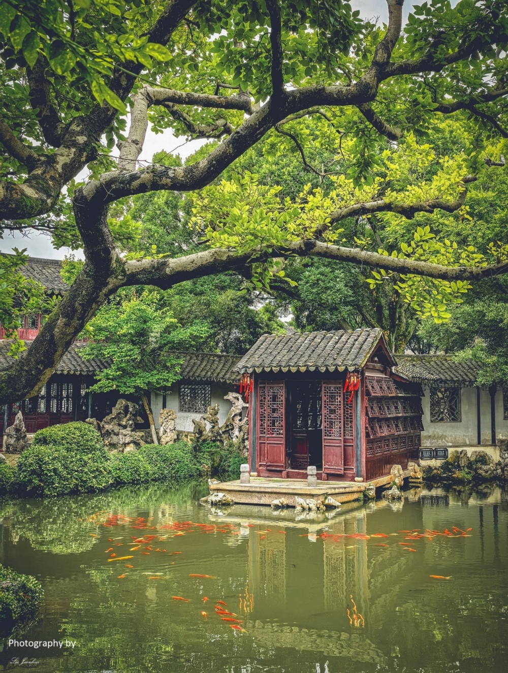 Shanghai & Beyond: Classic Golden Triangle 15-Day China Tour IV