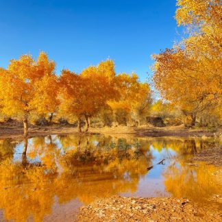 Inner Mongolia & Beyond: Desert & Grassland 15-Day China Tour
