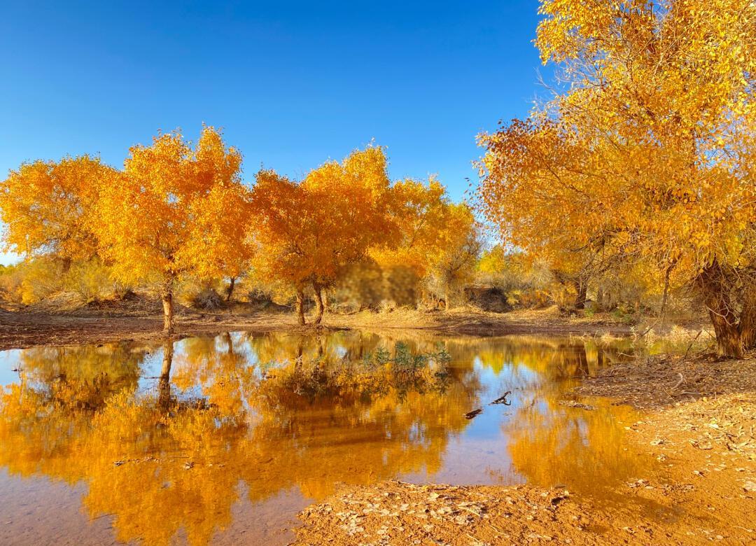 Inner Mongolia & Beyond: Desert & Grassland 15-Day China Tour