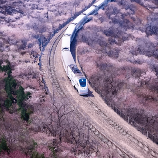 Beijing & Beyond: Northern Frontiers 15-Day China Tour II