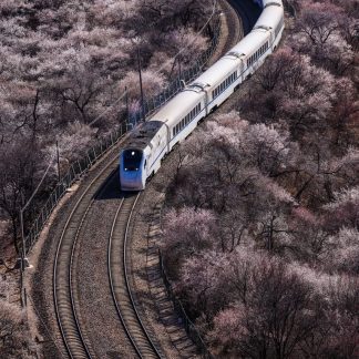 Beijing & Beyond: Northern Frontiers 15-Day China Tour