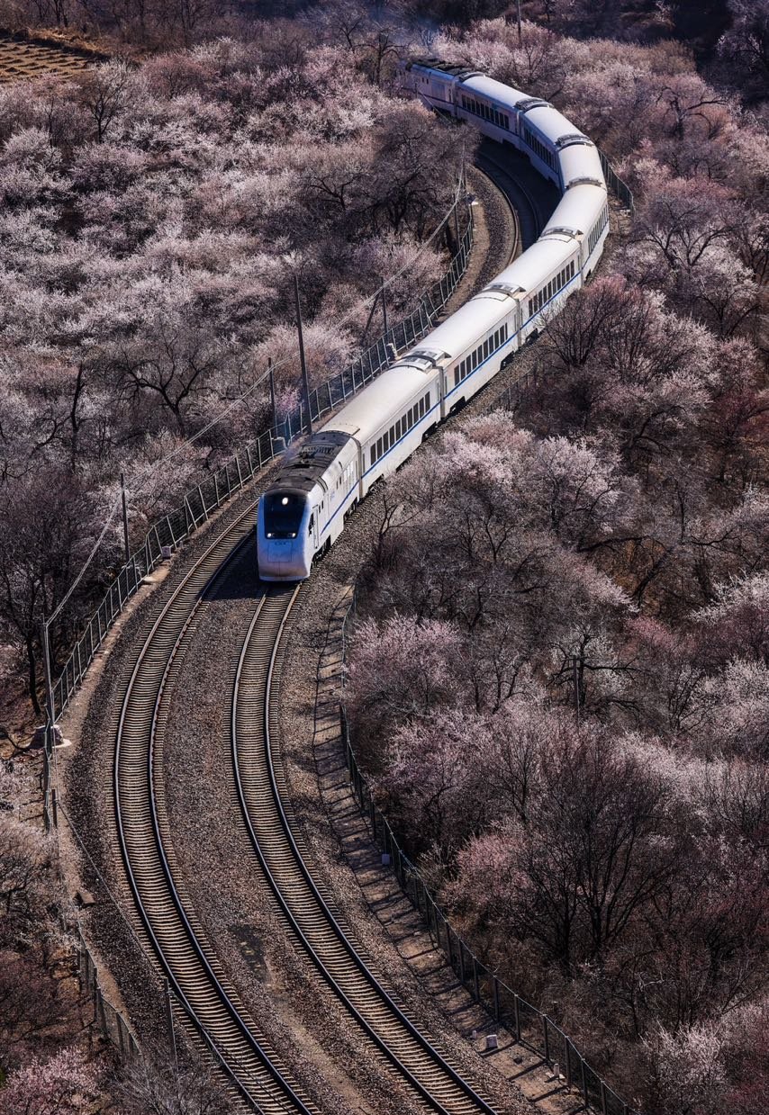 Beijing & Beyond: Northern Frontiers 15-Day China Tour