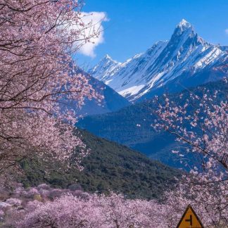 Tibet & Beyond: Tibetan Plateau 15-Day China Tour