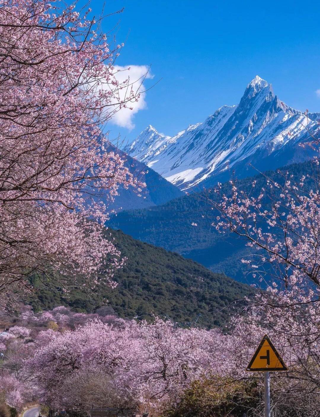Tibet & Beyond: Tibetan Plateau 15-Day China Tour