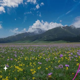 Guilin & Beyond: Panda & Spicy Sichuan 15-Day China Tour II