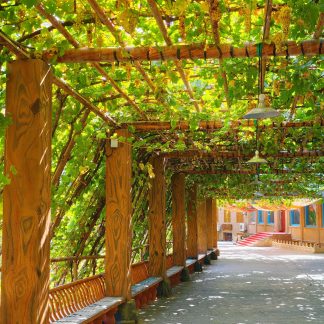 Shanghai & Beyond: Jiangnan Poetry 15-Day China Tour