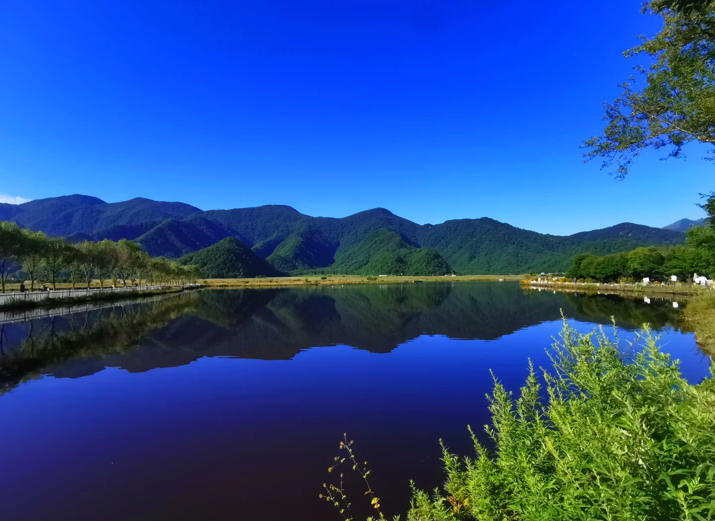 Luoyang & Henan & Beyond: Kung Fu & Ancient Capitals 15-Day China Tour