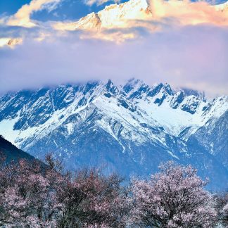 Luoyang & Henan & Beyond: Imperial Heritage 15-Day China Tour II