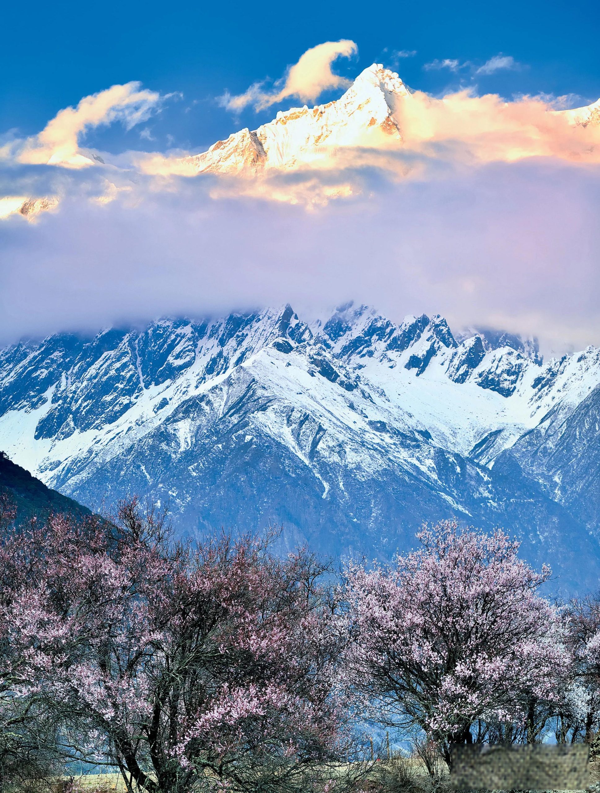 Luoyang & Henan & Beyond: Imperial Heritage 15-Day China Tour II