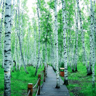 Zhangjiajie & Beyond: Metropolis to Mountains 13-Day China Tour