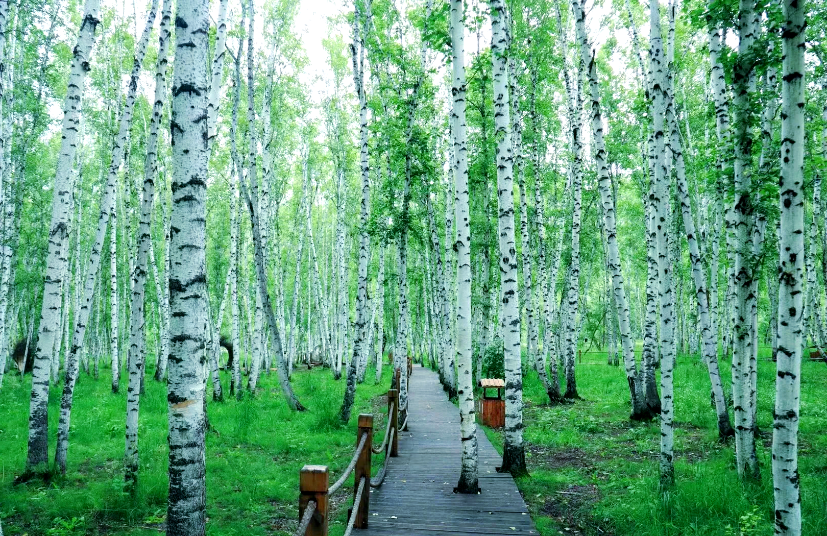 Zhangjiajie & Beyond: Metropolis to Mountains 13-Day China Tour