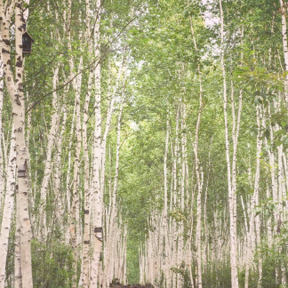 Shanghai & Beyond: Metropolis to Mountains 13-Day China Tour